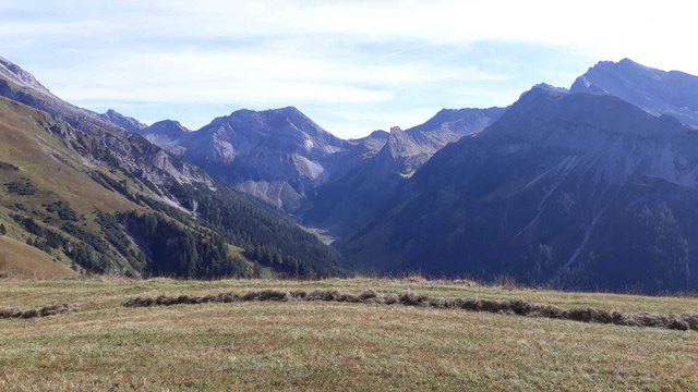Heuwuzel