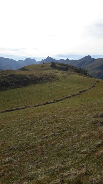 beim Heuen