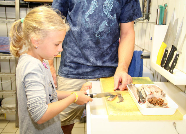 Die neunjährige beim Zubereiten der Speisen für die Raubtiere. | Foto: Land Salzburg/Melanie Hutter