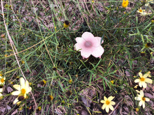Der Herbst lässt grüßen!