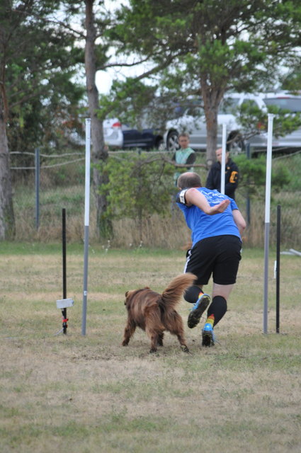 Fabian Hauer mit seinem Hund Diego in Action. | Foto: SVÖ