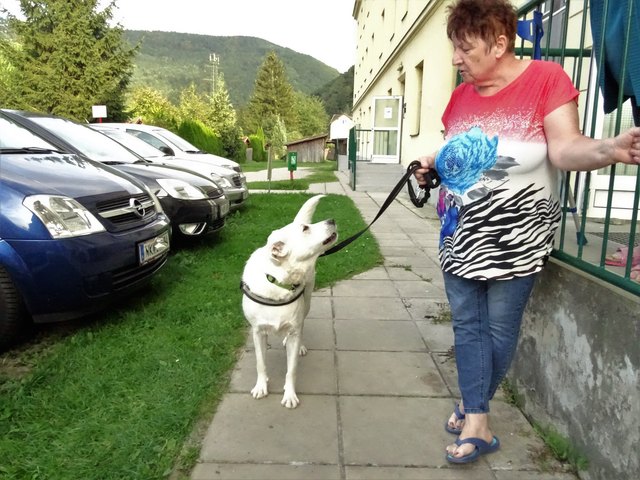 Luna mit Frauchen Christine: Ärger mit faulen Hundebesitzern. | Foto: RAXmedia