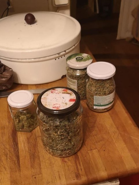 Bei drei Männern des Hauses wurden Gläschen mit Marihuana sichergestellt. | Foto: LPD Wien