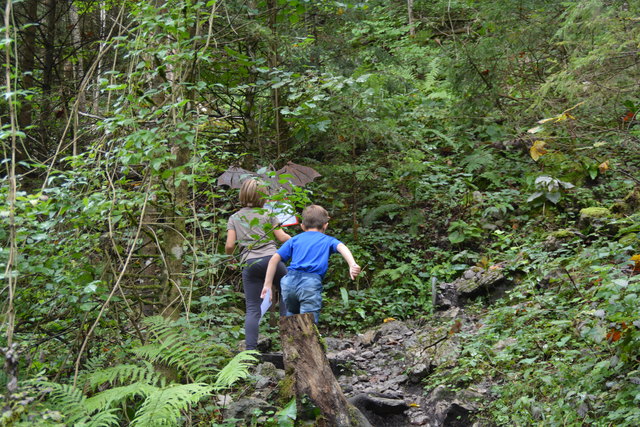 Durch den Naturpark Ötscher-Tormäuer ging's hinauf zum Einstieg der Ötscher-Tropfsteinhöhle.
