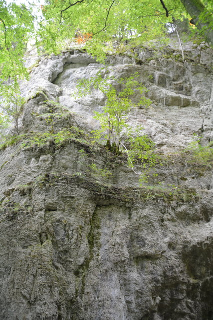 Durch den Naturpark Ötscher-Tormäuer ging's hinauf zum Einstieg der Ötscher-Tropfsteinhöhle.