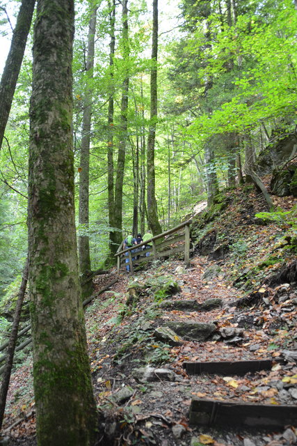 Durch den Naturpark Ötscher-Tormäuer ging's hinauf zum Einstieg der Ötscher-Tropfsteinhöhle.