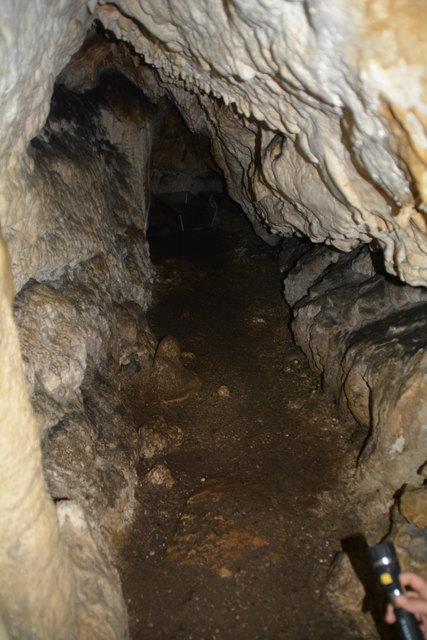In der Ötscher-Tropfsteinhöhle erhält man faszinierende Einblicke in die Welt der Stalaktiten und Stalagmiten.