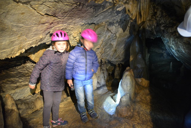 In der Ötscher-Tropfsteinhöhle erhält man faszinierende Einblicke in die Welt der Stalaktiten und Stalagmiten.