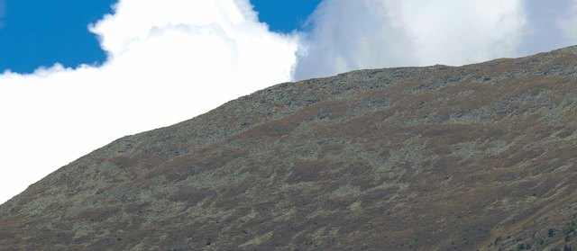 Durch den ersten Schnee gegen Ende August hat sich die Flora verändert. Schutt füllt die Unterbrechungen des dort kargen Bewuchses. Während des Sommers ist die Bergflora jedoch auch dort oben mit Überraschungen nicht geizend.