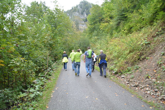 Durch den Naturpark Ötscher-Tormäuer ging's hinauf zum Einstieg der Ötscher-Tropfsteinhöhle.
