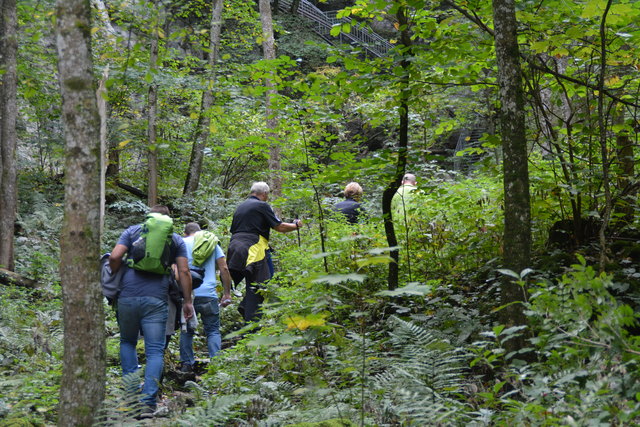 Durch den Naturpark Ötscher-Tormäuer ging's hinauf zum Einstieg der Ötscher-Tropfsteinhöhle.