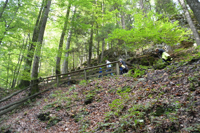 Durch den Naturpark Ötscher-Tormäuer ging's hinauf zum Einstieg der Ötscher-Tropfsteinhöhle.