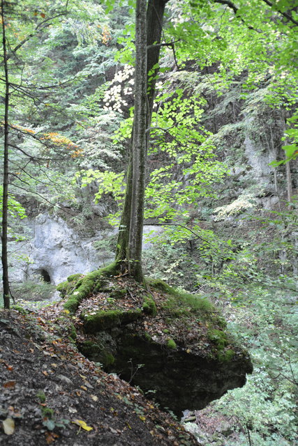 Durch den Naturpark Ötscher-Tormäuer ging's hinauf zum Einstieg der Ötscher-Tropfsteinhöhle.