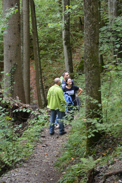 Durch den Naturpark Ötscher-Tormäuer ging's hinauf zum Einstieg der Ötscher-Tropfsteinhöhle.