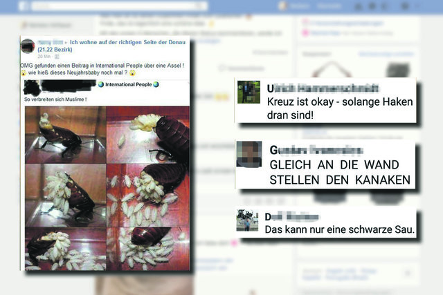 Über Monate hinweg wurden Screenshots aus der Facebookgruppe "Ich wohne auf der richtigen Seite der Donau (21., 22. Bezirk)" gesammelt.
