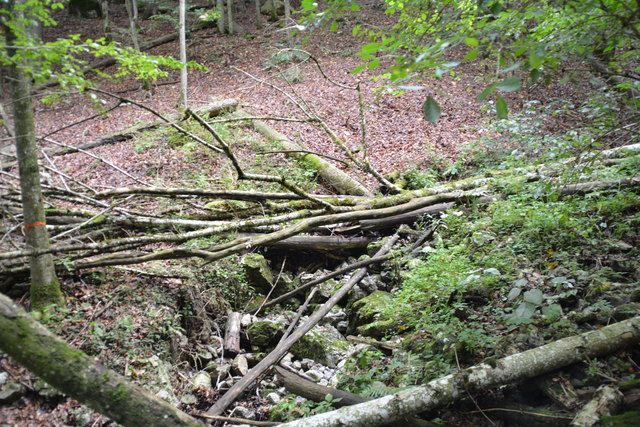 Durch den Naturpark Ötscher-Tormäuer ging's hinauf zum Einstieg der Ötscher-Tropfsteinhöhle.