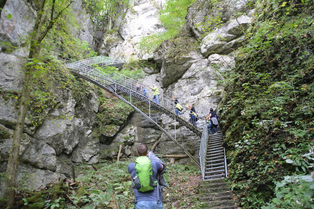 Durch den Naturpark Ötscher-Tormäuer ging's hinauf zum Einstieg der Ötscher-Tropfsteinhöhle.