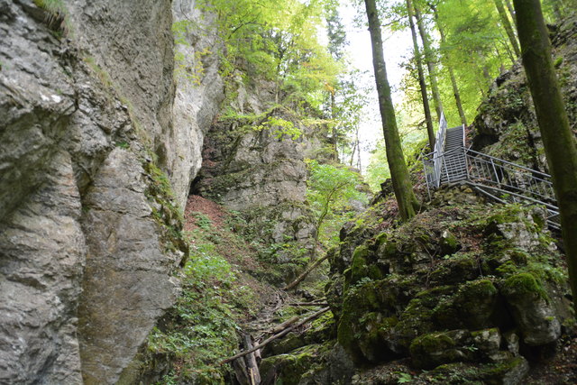 Durch den Naturpark Ötscher-Tormäuer ging's hinauf zum Einstieg der Ötscher-Tropfsteinhöhle.