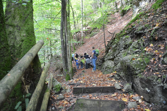 Durch den Naturpark Ötscher-Tormäuer ging's hinauf zum Einstieg der Ötscher-Tropfsteinhöhle.