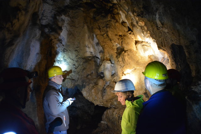 In der Ötscher-Tropfsteinhöhle erhält man faszinierende Einblicke in die Welt der Stalaktiten und Stalagmiten.