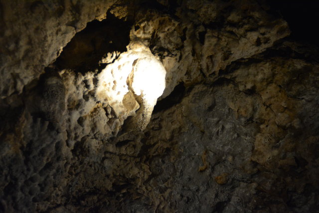 In der Ötscher-Tropfsteinhöhle erhält man faszinierende Einblicke in die Welt der Stalaktiten und Stalagmiten.