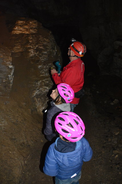 In der Ötscher-Tropfsteinhöhle erhält man faszinierende Einblicke in die Welt der Stalaktiten und Stalagmiten.