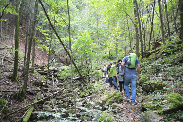 Durch den Naturpark Ötscher-Tormäuer ging's hinauf zum Einstieg der Ötscher-Tropfsteinhöhle.