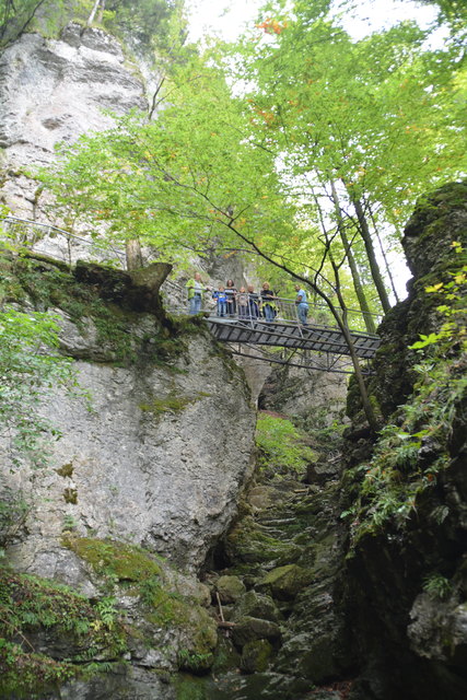 Durch den Naturpark Ötscher-Tormäuer ging's hinauf zum Einstieg der Ötscher-Tropfsteinhöhle.