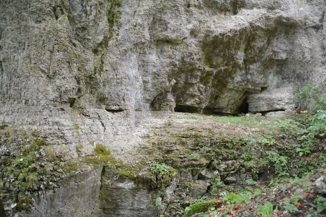 Durch den Naturpark Ötscher-Tormäuer ging's hinauf zum Einstieg der Ötscher-Tropfsteinhöhle.