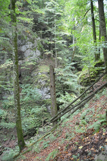 Durch den Naturpark Ötscher-Tormäuer ging's hinauf zum Einstieg der Ötscher-Tropfsteinhöhle.