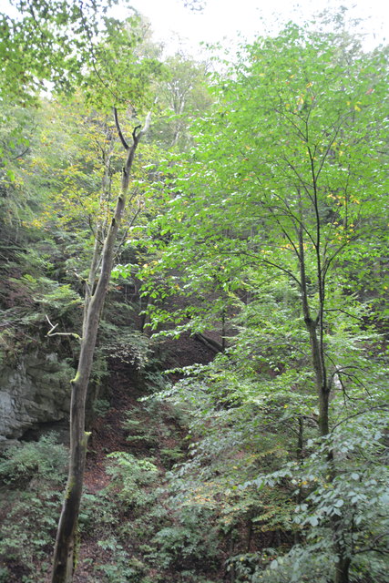 Durch den Naturpark Ötscher-Tormäuer ging's hinauf zum Einstieg der Ötscher-Tropfsteinhöhle.