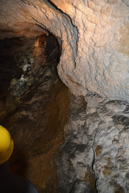 In der Ötscher-Tropfsteinhöhle erhält man faszinierende Einblicke in die Welt der Stalaktiten und Stalagmiten.
