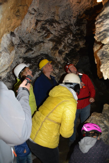 In der Ötscher-Tropfsteinhöhle erhält man faszinierende Einblicke in die Welt der Stalaktiten und Stalagmiten.
