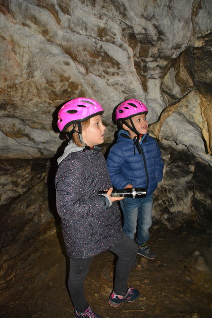 In der Ötscher-Tropfsteinhöhle erhält man faszinierende Einblicke in die Welt der Stalaktiten und Stalagmiten.