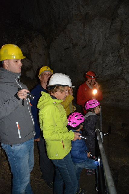 In der Ötscher-Tropfsteinhöhle erhält man faszinierende Einblicke in die Welt der Stalaktiten und Stalagmiten.