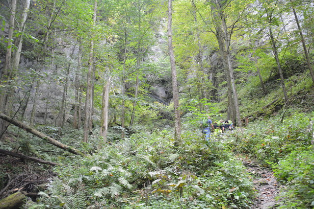 Durch den Naturpark Ötscher-Tormäuer ging's hinauf zum Einstieg der Ötscher-Tropfsteinhöhle.