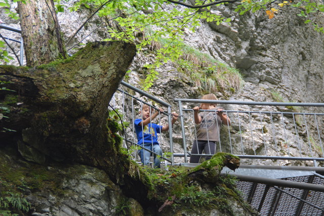 Durch den Naturpark Ötscher-Tormäuer ging's hinauf zum Einstieg der Ötscher-Tropfsteinhöhle.