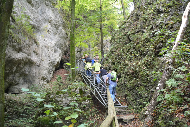 Durch den Naturpark Ötscher-Tormäuer ging's hinauf zum Einstieg der Ötscher-Tropfsteinhöhle.