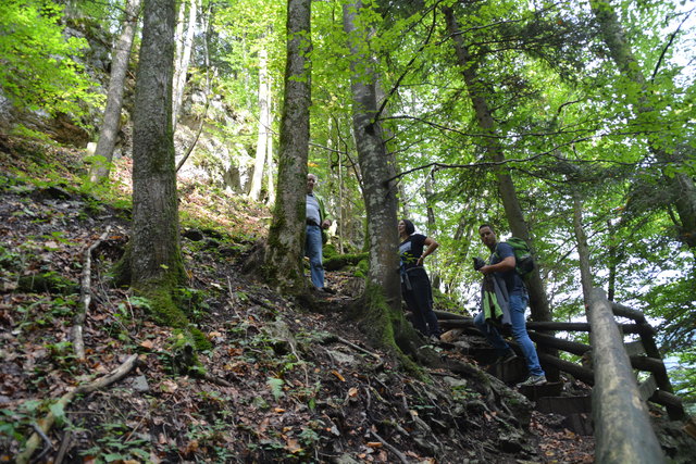 Durch den Naturpark Ötscher-Tormäuer ging's hinauf zum Einstieg der Ötscher-Tropfsteinhöhle.