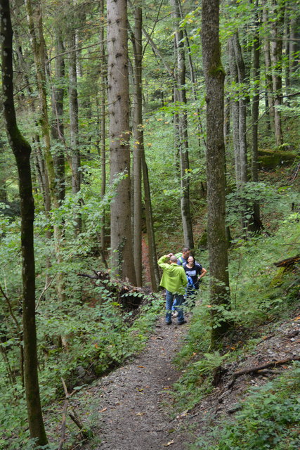 Durch den Naturpark Ötscher-Tormäuer ging's hinauf zum Einstieg der Ötscher-Tropfsteinhöhle.