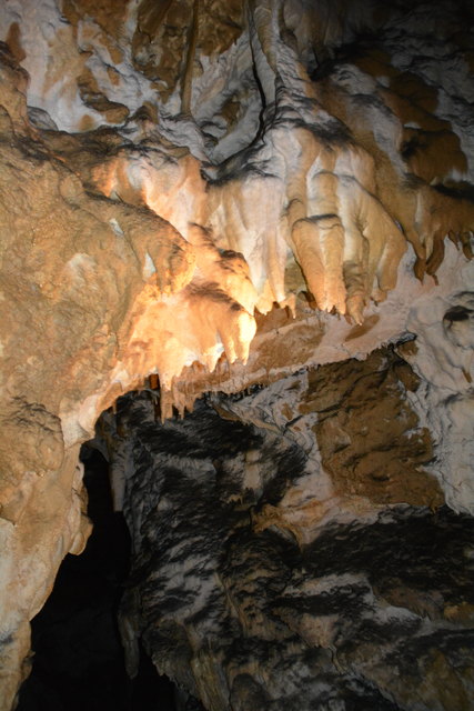 In der Ötscher-Tropfsteinhöhle erhält man faszinierende Einblicke in die Welt der Stalaktiten und Stalagmiten.