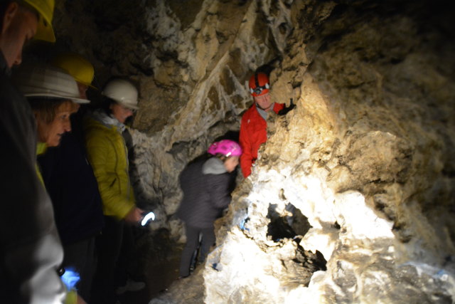 In der Ötscher-Tropfsteinhöhle erhält man faszinierende Einblicke in die Welt der Stalaktiten und Stalagmiten.