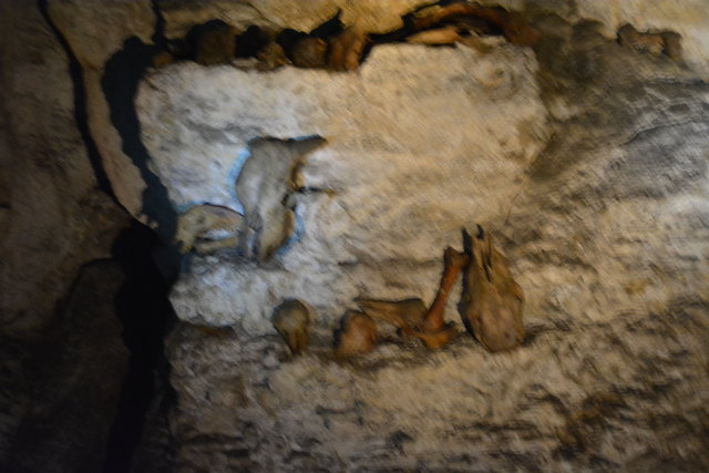 In der Ötscher-Tropfsteinhöhle erhält man faszinierende Einblicke in die Welt der Stalaktiten und Stalagmiten.
