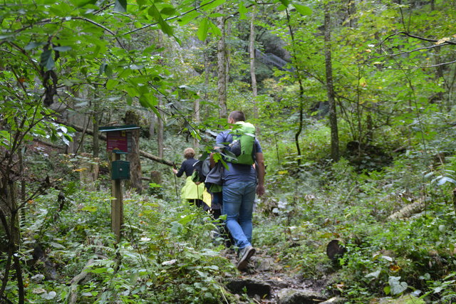 Durch den Naturpark Ötscher-Tormäuer ging's hinauf zum Einstieg der Ötscher-Tropfsteinhöhle.