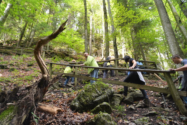 Durch den Naturpark Ötscher-Tormäuer ging's hinauf zum Einstieg der Ötscher-Tropfsteinhöhle.