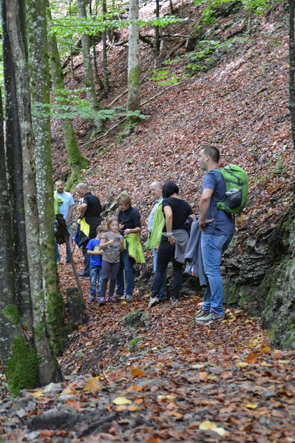 Durch den Naturpark Ötscher-Tormäuer ging's hinauf zum Einstieg der Ötscher-Tropfsteinhöhle.