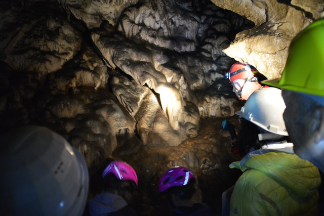 In der Ötscher-Tropfsteinhöhle erhält man faszinierende Einblicke in die Welt der Stalaktiten und Stalagmiten.