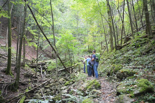 Durch den Naturpark Ötscher-Tormäuer ging's hinauf zum Einstieg der Ötscher-Tropfsteinhöhle.
