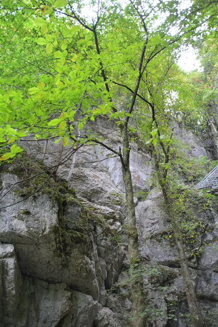 Durch den Naturpark Ötscher-Tormäuer ging's hinauf zum Einstieg der Ötscher-Tropfsteinhöhle.