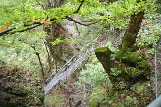 Durch den Naturpark Ötscher-Tormäuer ging's hinauf zum Einstieg der Ötscher-Tropfsteinhöhle.